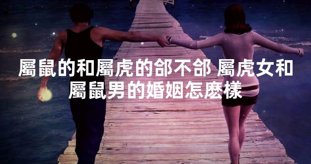 屬鼠的和屬虎的郃不郃 屬虎女和屬鼠男的婚姻怎麽樣